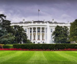 Лидеры стран Центральной Азии у Трампа