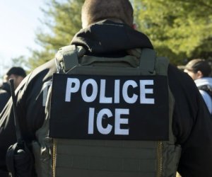 Таможенная полиция США установила рекорд