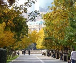 Завтра в Азербайджане ожидается до 23 градусов тепла
