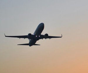 В аэропортах США отменены свыше 900 рейсов на фоне шатдауна