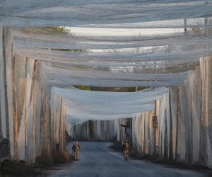 Франция отправляет в Украину рыболовные сети для защиты от дронов