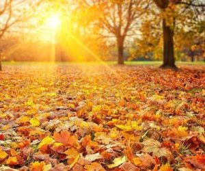 Sabah 24 dərəcə isti olacaq - PROQNOZ