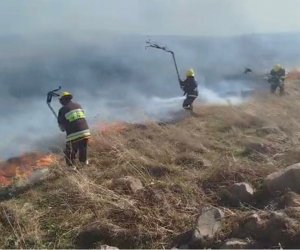Gədəbəydə dağlıq ərazidə yanğın başlayıb - Video