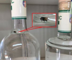 Cəbrayılda içində milçək olan saxta araq aşkar edilib