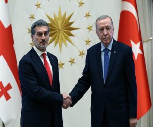 Эрдоган и Кавелашвили обсудили ход спасательных работ на месте авиакатастрофы