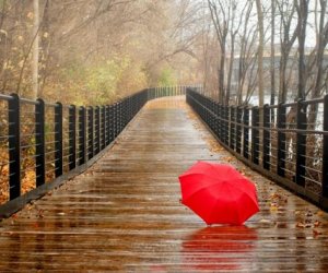 В регионах Азербайджана ожидаются дожди и грозы