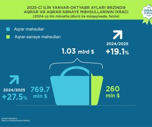 Aqrar və aqrar-sənaye məhsullarının ixracı on ayda 19% artıb