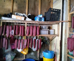 Bakı bazarında kolbasa məhsullarında at əti aşkarlanıb