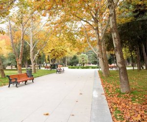 Sabahın hava proqnozu