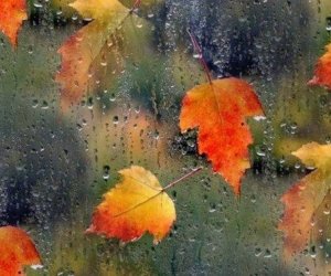 Завтра в некоторых регионах Азербайджана ожидаются ливни