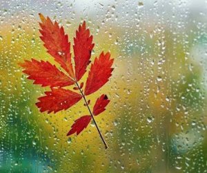 Faktiki hava açıqlanıb