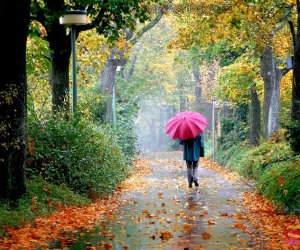 В Баку и на Абшероне ожидается пасмурная погода, в ряде районов - ливни