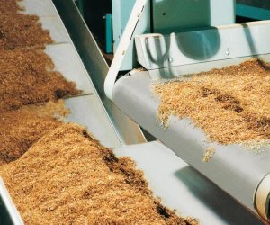 Ölkədə tütün istehsalı azalıb