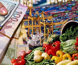 Azərbaycanın xarici ticarət dövriyyəsi artıb