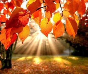 Обнародован прогноз погоды в Азербайджане на завтра: ожидается 21 градус тепла