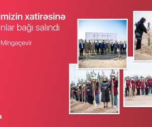 “Garden of Heroes” project: 543 trees planted in memory of martyrs