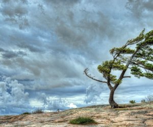 Windy weather is expected in Baku tomorrow