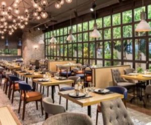 Restoran və şadlıq evlərində reydlər keçiriləcək- Xəbərdarlıq