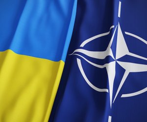 NATO baş katibinin müavini Ukraynada səfərdədir