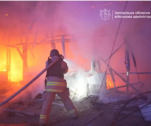 IAEA chief calls for special status for Zaporizhzhia nuclear plant