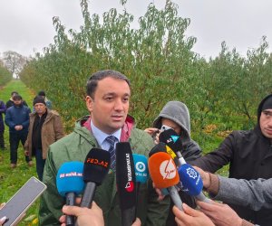 
Azərbaycanda yaxın zamanda quraqlıq sığortası tətbiq olunacaq
