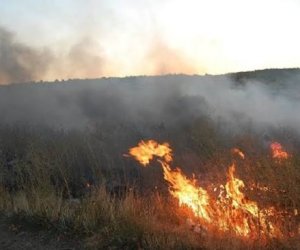 Kəlbəcərdə açıq ərazidə yanğın baş verib