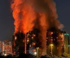 SCMP: Более 90 домашних питомцев спасли в Гонконге на месте мощного пожара