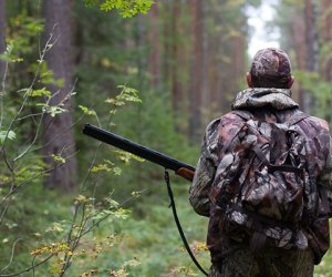 Azərbaycan ov mövsümünü erkən bağlanıb - yenidən açılması iqlim proseslərinin nəticələrindən asılı olacaq