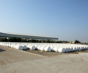 Ağcabədidə pambıq yığımı ötən ilə nisbətən məhsuldarlıq 17% yüksəlib