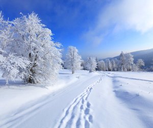 Qışda dünyada hava necə dəyişəcək?