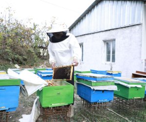 İşğaldan azad olunmuş ərazilərdə 633 nəfər özünüməşğulluq proqramı ilə kiçik biznes qurub