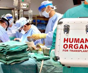 Baş nazirBona Dea ilə bağlı qərar imzalayıb