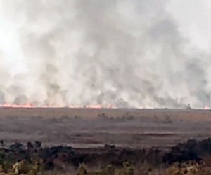 Cəlilabadda ovçuluq təsərrüfatında yanğın olub