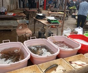 AQTA bu rayonların ərzaq bazarlarında monitorinq keçirib