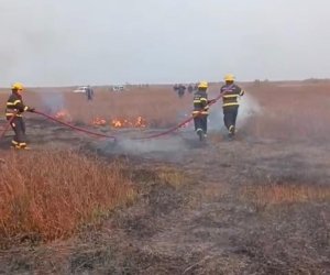 Cəlilabadda açıq ərazidə yanğın baş verib