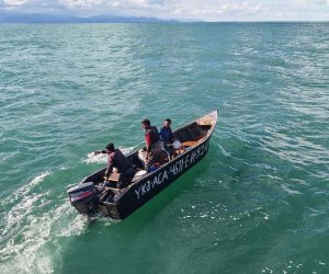 Noyabrda sərhəddi qanunsuz keçmək istəyənlərin sayı açıqlanıb