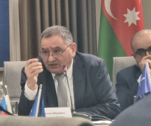 Elmin populyarlaşdırılması üçün yeni platformalar və təşviqat tələb olunur - Etibar Əliyev