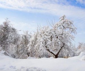 Bəzi rayonlara qar yağıb - Faktiki hava