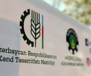 Nazirliyin süni intellektlə hazırladığı 5 layihə başa çatıb