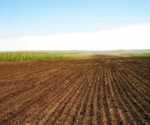 4 minə yaxın sahədə monitorinq aparılıb - Nazirlik vəziyyəti açıqlayıb