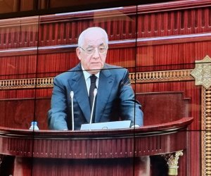 Parlamentdə qaldırılan məsələlər büdcə imkanları çərçivəsində həll ediləcək - Əli Əsədov