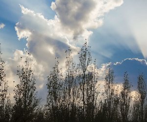 Sabahın hava proqnozu açıqlanıb