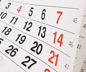 Gələn il 241 gün işləyəcəyik