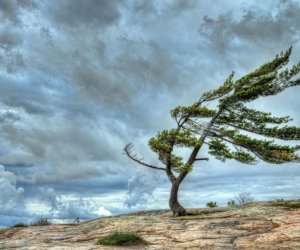 Küləkli hava ilə bağlı sarı və narıncı xəbərdarlıq edilib