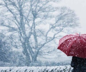 Sabahın hava proqnozu açıqlanıb