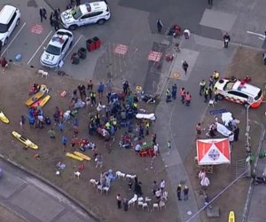 Число погибших при стрельбе в Сиднее возросло до 12 - ОБНОВЛЕНО