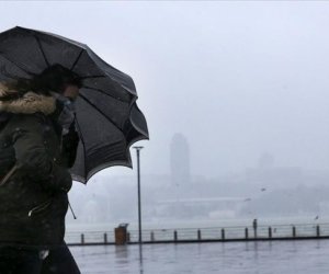 В Азербайджане из-за сильного ветра объявлен желтый уровень погодной опасности