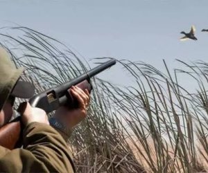 Şabranda qanunsuz ov edən şəxs saxlanılıb