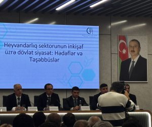 Azərbaycanın yumurta ixracı 11 ayda 35%-ə yaxın artıb &ndash; nazir