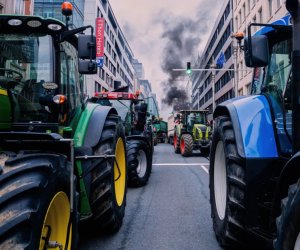 Brüsseldə fermerlər Aİ-MERCOSUR sazişinə qarşı etiraz aksiyası keçiriblər